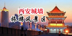 我想看美女操逼内射中国陕西-西安城墙旅游风景区